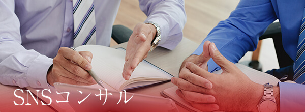 snsコンサル